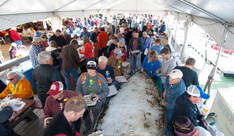 Oyster festival online